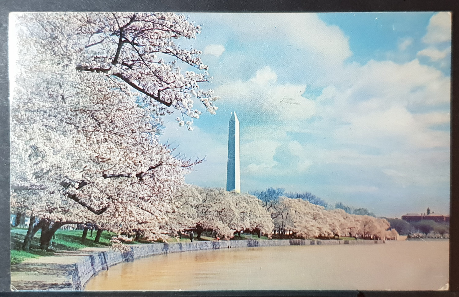 (image for) postcard USA - DC - District of Columbia #0016